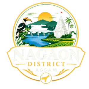 nagaon district logo removebg preview